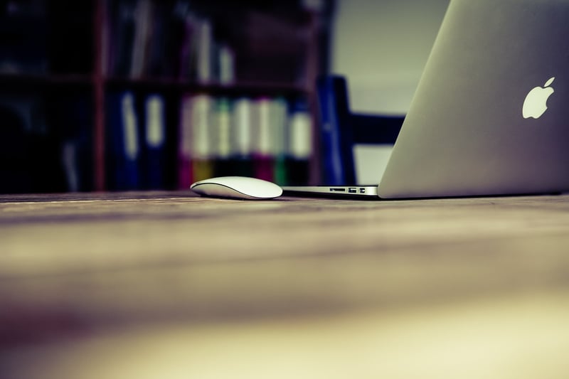 Web Developer Portfolio